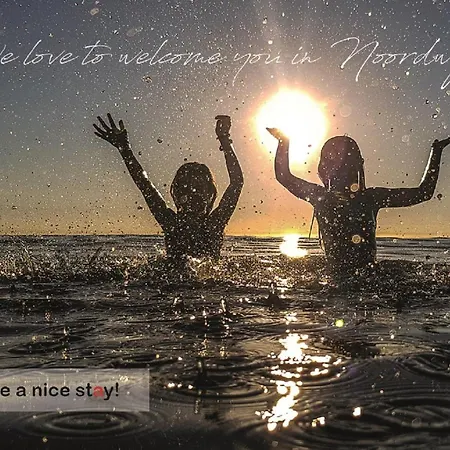 Have A Stay! - Free Parking ノールトウェイク